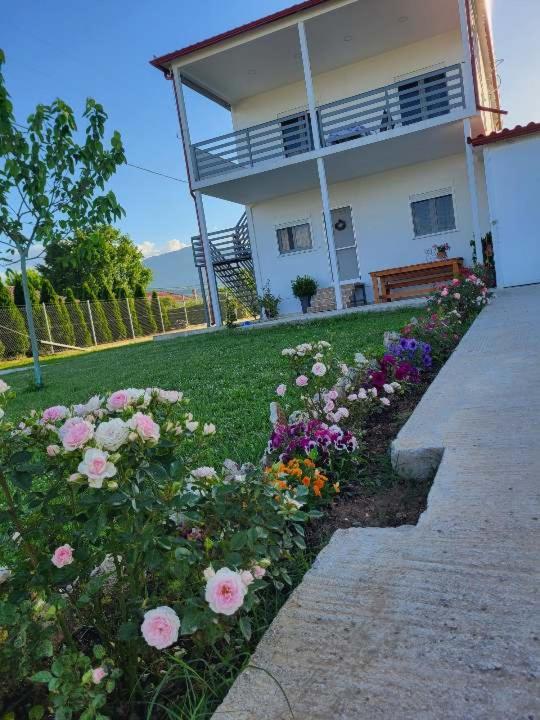 Countryside Apartments First Floor Trikala  Exterior photo